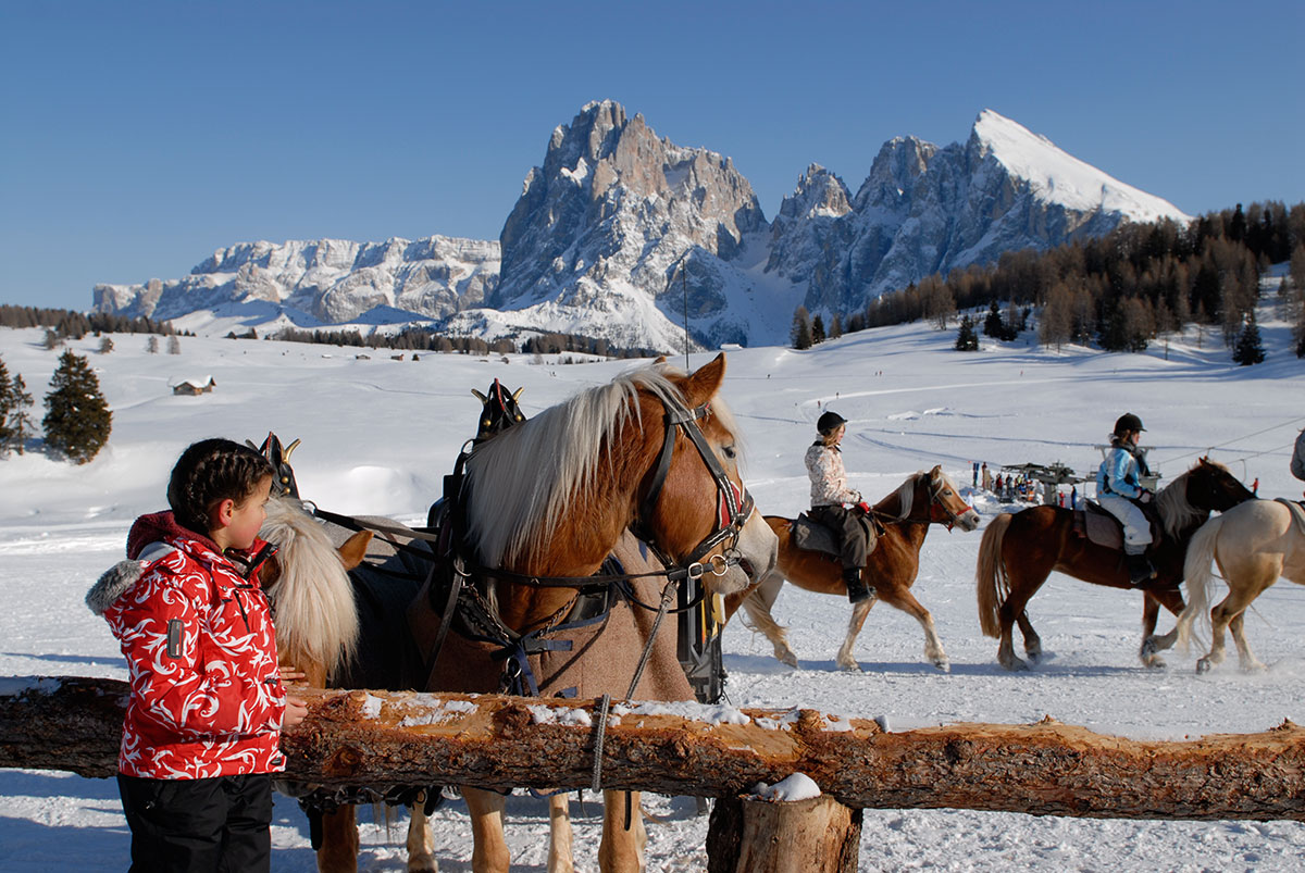 Cavalcare in inverno sull'Alpe di Siusi