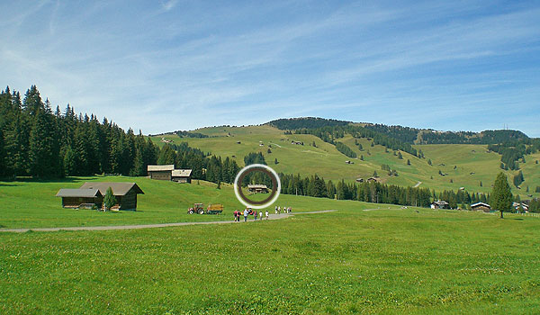 The Pluner cottage midst of green meadows on Alpe di Siusi